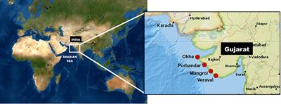 Reducing Data Deficiencies: Preliminary Elasmobranch Fisheries Surveys in India, Identify Range Extensions and Large Proportions of Female and Juvenile Landings